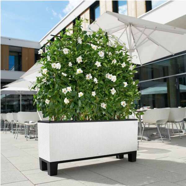 Βάσεις Γλάστρας/Ζαρντινιέρας