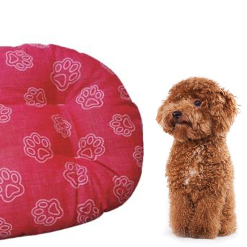 ΜΑΞΙΛΑΡΑΚΙ_ΓΑΤΑΣ_ΣΚΥΛΟΥ3_ΜΙΚΡΟ